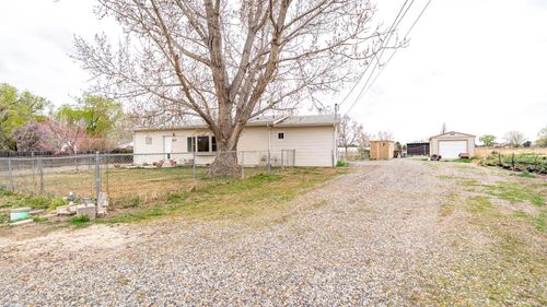 707 36 3/10 Rd, Palisade, CO, 81526-9769 | Card Image