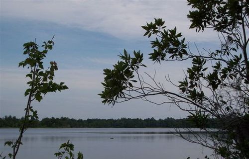 Lot 7 Lake Alapaha Blvd, Naylor, GA, 31641 | Card Image