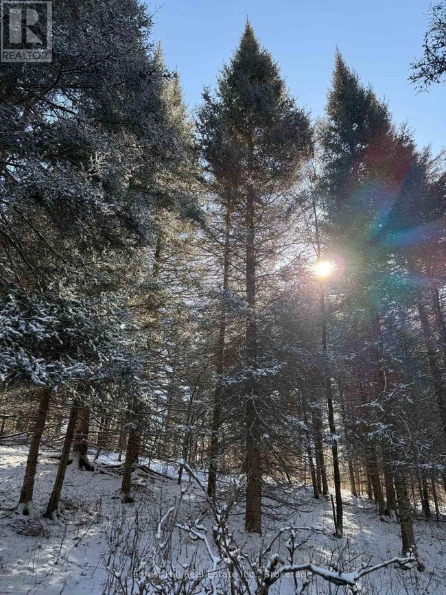 27 Old Nipissing Road N Road, Home with 0 bedrooms, 0 bathrooms and null parking in Parry Sound Remote Area (Pringle) ON | Image 6