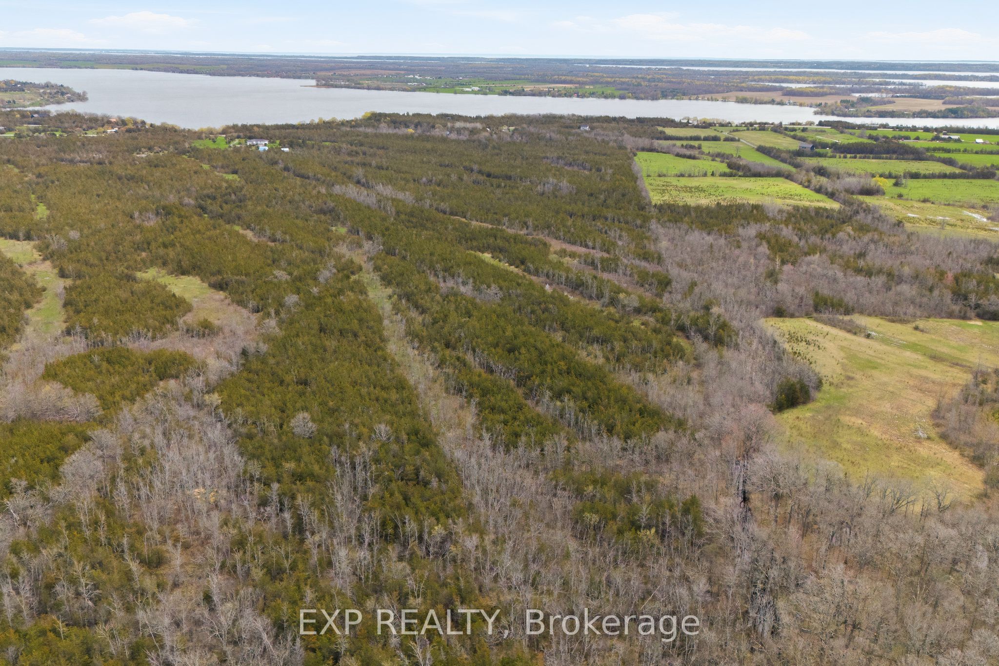 Residential in Prince Edward County 5