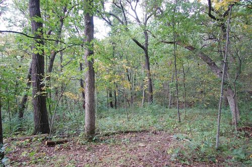 17.63 Acres Biglow Hill Road, Clyde, WI, 53506 | Card Image