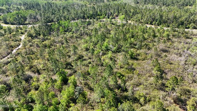 0 Nw Miller Rd, Home with 0 bedrooms, 0 bathrooms and null parking in Altha FL | Image 11