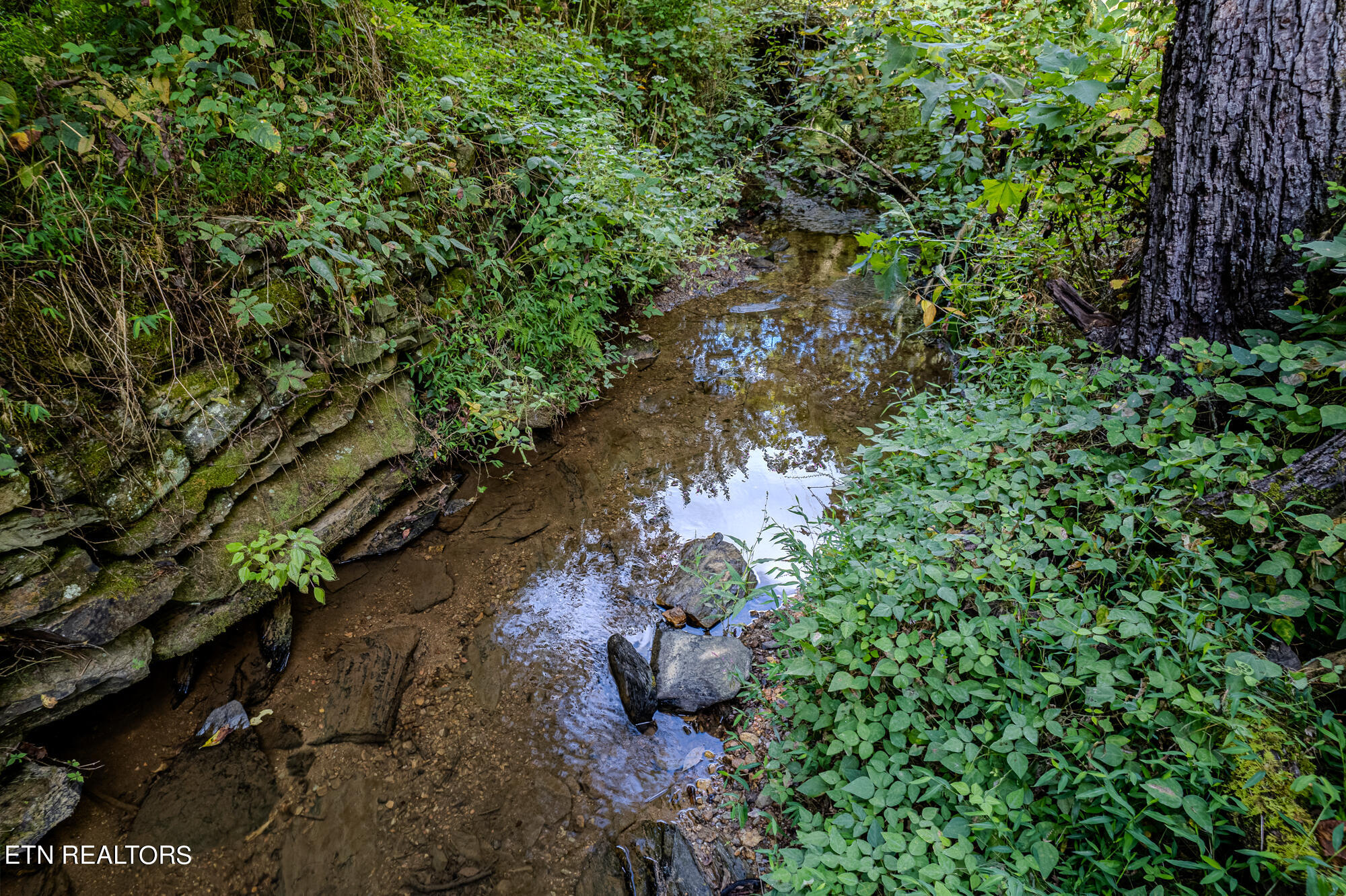 1872 Childers Creek Rd, For Sale in Reliance Zoocasa