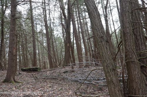 Tbd Terrace Drive, Lexington, NY, 12452 | Card Image