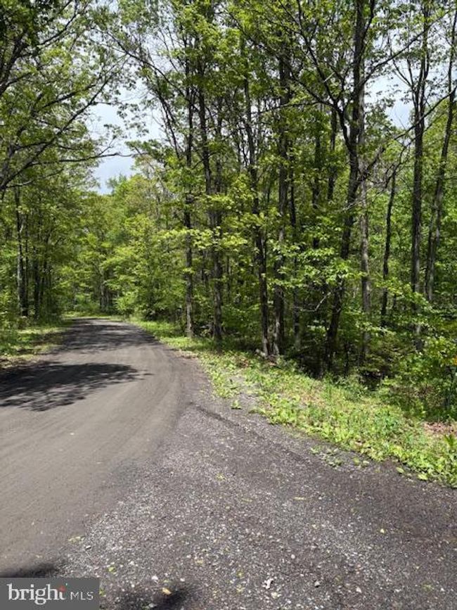 0 Little Wolf Rd, Home with 0 bedrooms, 0 bathrooms and null parking in CLARENCE PA | Image 15