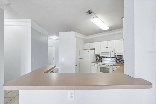 APT-102 - 4307 Bayside Village Dr, Condo with 2 bedrooms, 2 bathrooms and null parking in TAMPA FL | Image 10