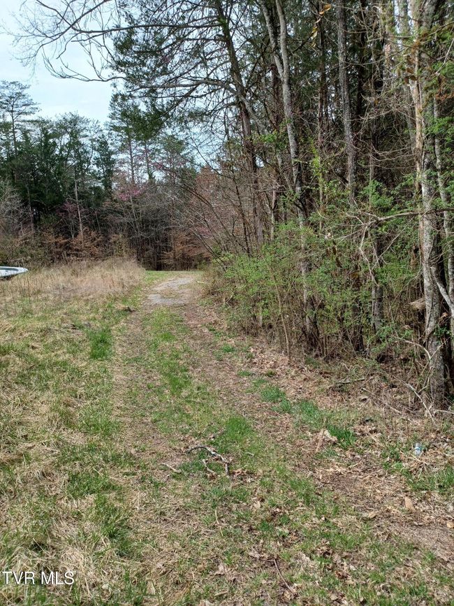 Driveway entrance | Image 4