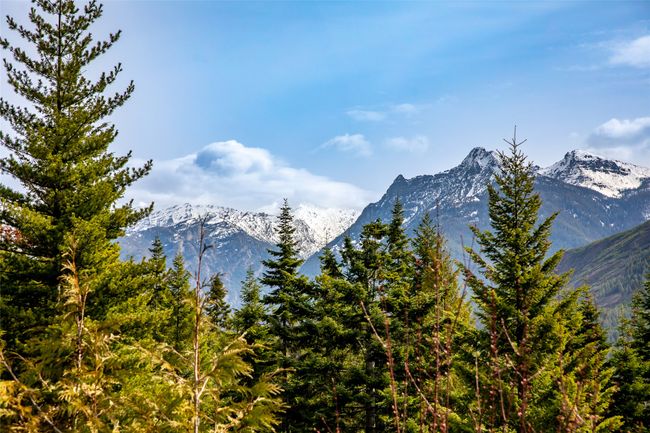 Property view of mountains | Image 30