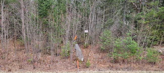 Lot 12 Mirror Lake Estates Dr, Home with 0 bedrooms, 0 bathrooms and null parking in Whitefield NH | Image 29