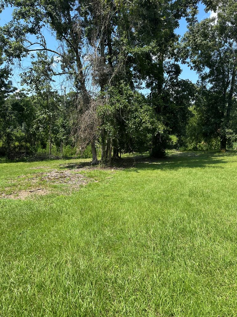 Land in Valdosta 3