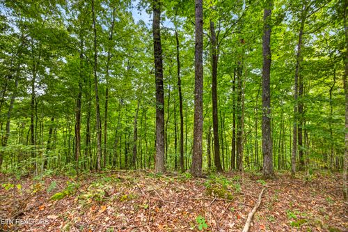 Lot 27 Timber Ridge Ln, Celina, TN, 38551 | Card Image