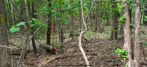 000 Highway 365 N, Maumelle, AR, 72113 | Card Image