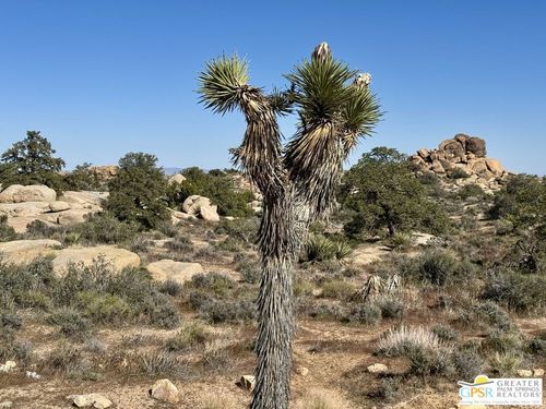 900 Parson Ranch Rd, Pioneertown, CA, 92268 | Card Image