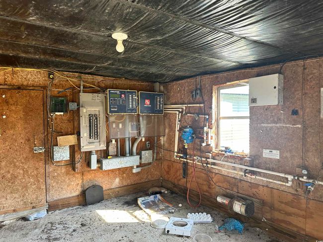 View of yard | Image 23