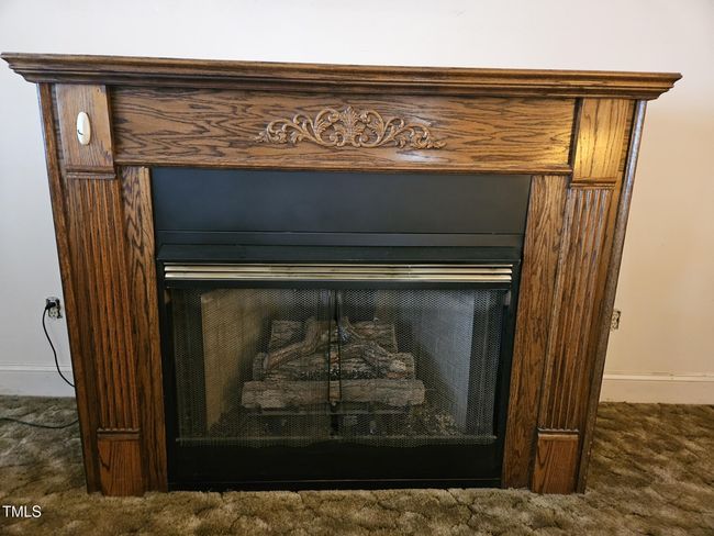fireplace | Image 11