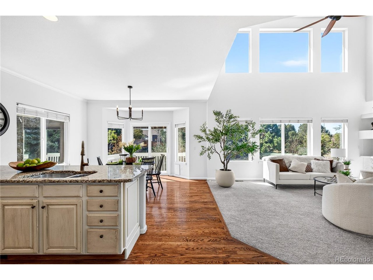 Residential in Castle Rock 5