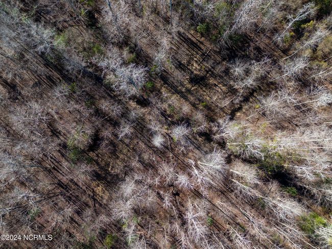 00 Sykes Town Rd, Home with 0 bedrooms, 0 bathrooms and null parking in Currie NC | Image 37