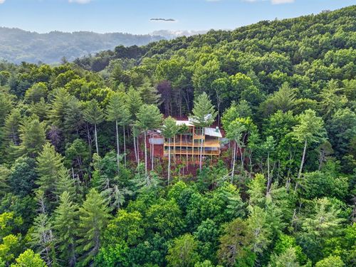 Lot 3C Stanley Creek Road, Cherry Log, GA, 30522 | Card Image