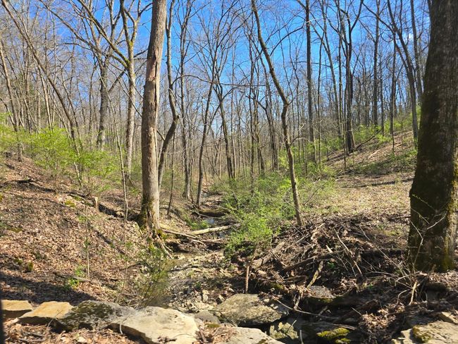 8266 State Highway 262, Home with 0 bedrooms, 0 bathrooms and null parking in Dillsboro IN | Image 9