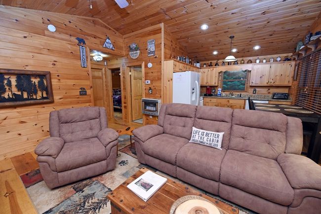 151 Hatchett Trl, Home with 3 bedrooms, 2 bathrooms and 2 parking in Cherry Log GA | Image 31