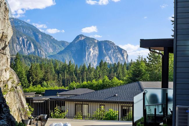 View of mountain backdrop with a forest | Image 30