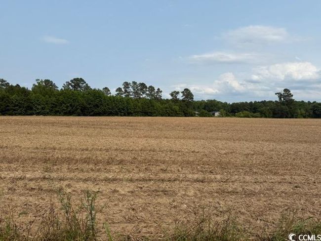 8 Mack Rd, Home with 0 bedrooms, 0 bathrooms and null parking in Conway SC | Image 7