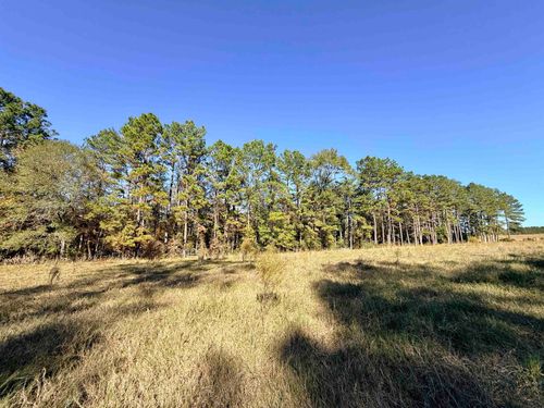 lot-3-000 E Lakeland Ct, Hillister, TX, 77624 | Card Image