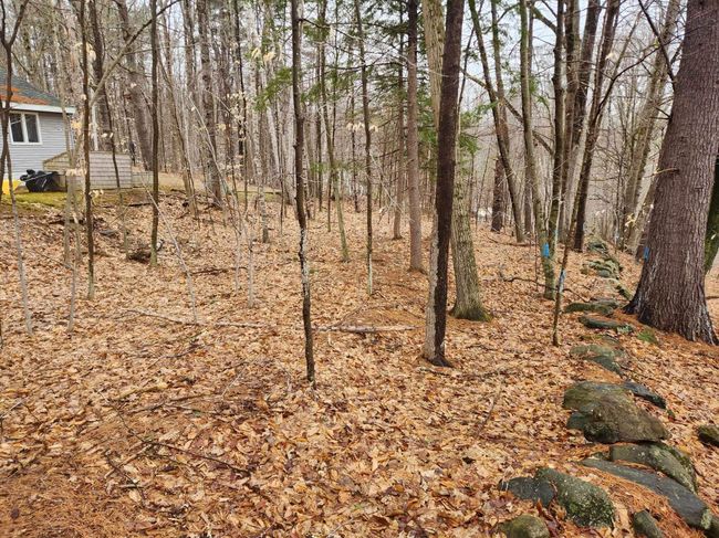 0 Dock Rd, Home with 0 bedrooms, 0 bathrooms and null parking in Gilmanton NH | Image 9