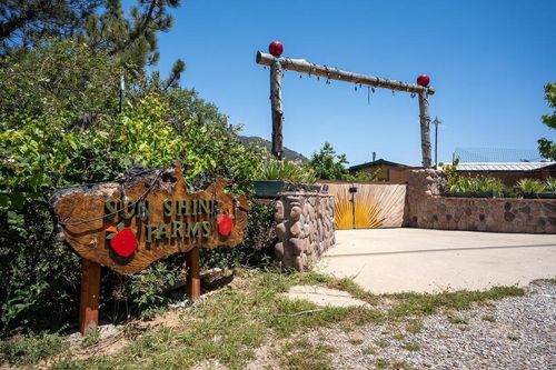 1315 Farmer Rd, Julian, CA, 92036-9668 | Card Image
