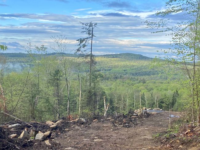 1180 Abbott Hill Rd, Home with 0 bedrooms, 0 bathrooms and null parking in West Burke VT | Image 23