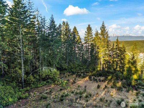 1123 E Timber Tides Dr, Union, WA, 98592-5500 | Card Image
