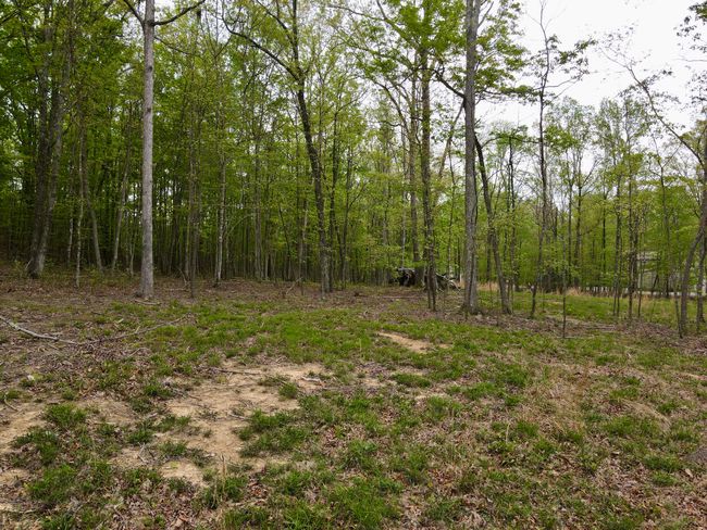 0 Deerwood Dr, Home with 0 bedrooms, 0 bathrooms and null parking in Sewanee TN | Image 19