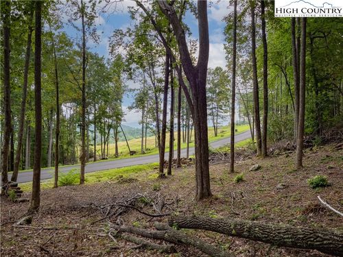 46 Wildcat Wilderness Parkway, Deep Gap, NC, 28618 | Card Image