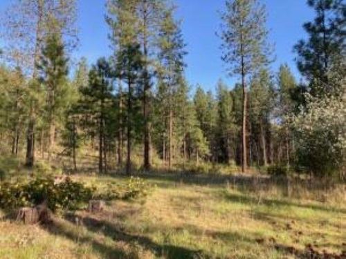 1172 Fumi Cir, Kettle Falls, WA, 99141-8623 | Card Image