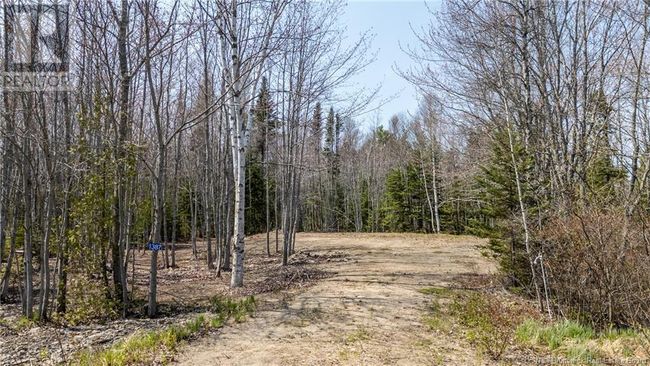 1387 Bells Mills Rd, Home with 0 bedrooms, 0 bathrooms and null parking in Richibouctou-Village NB | Image 21