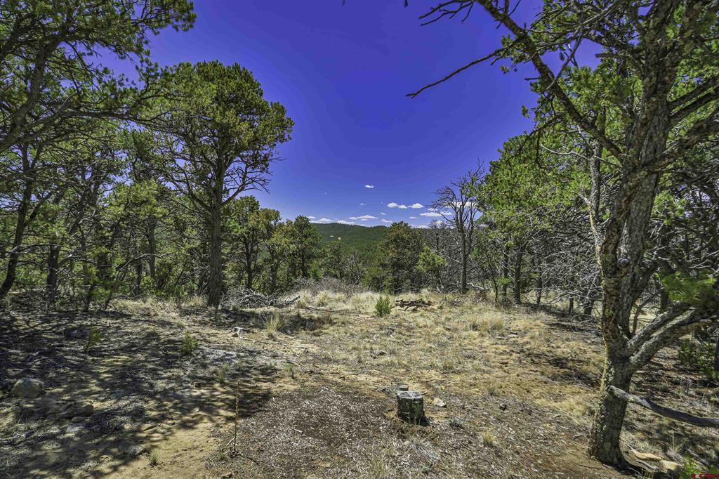 Land in Aguilar 4