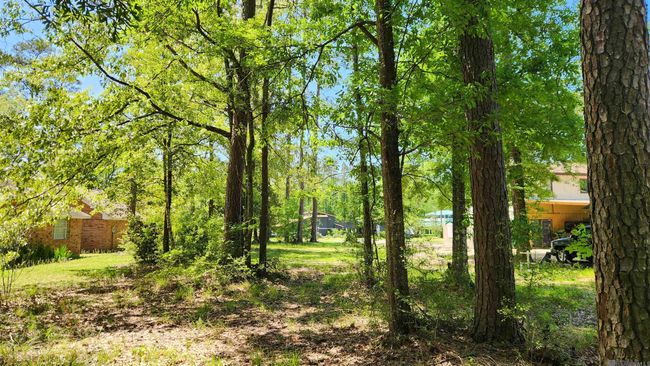 31531 River Pines Dr, Home with 0 bedrooms, 0 bathrooms and null parking in Springfield LA | Image 16