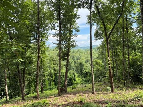 Lot 25 Bryson Creek, Murphy, NC, 28906 | Card Image