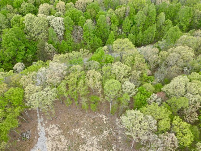 0 Deerwood Dr, Home with 0 bedrooms, 0 bathrooms and null parking in Sewanee TN | Image 36