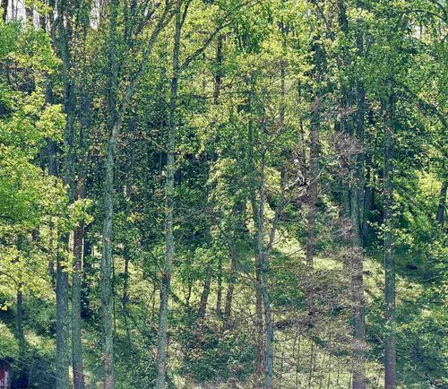 Lot 99 Crystal Lake Rd, West Union, WV, 26456-8906 | Card Image