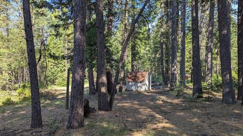 7693 Linda Rd, Shingletown, CA, 96088-9775 | Card Image