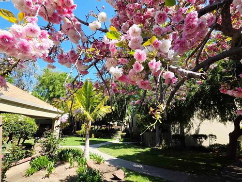 apt-25-320 Auburn Way, San Jose, CA, 95129-1699 | Card Image