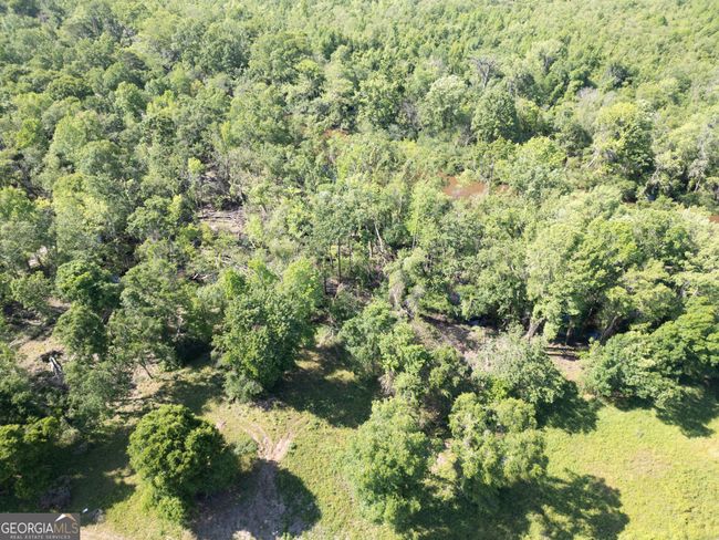 LOT 20 The River Landing, Home with 0 bedrooms, 0 bathrooms and null parking in Midville GA | Image 4