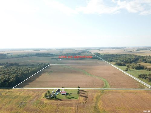 000 Bellflower Lane, Rinard, IL, 62878 | Card Image