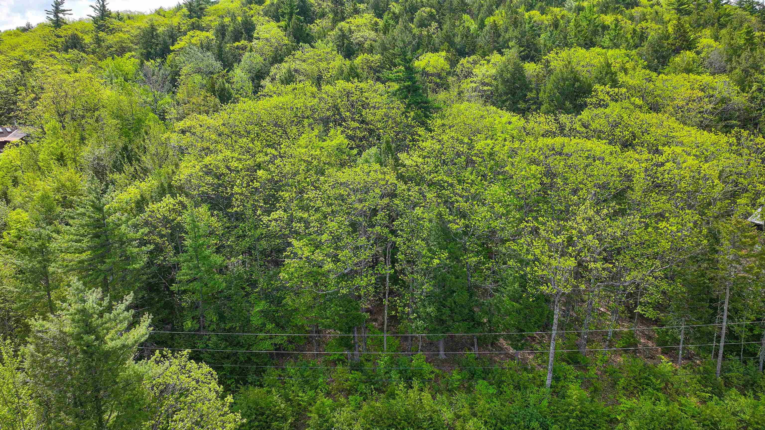 Land in Conway 4