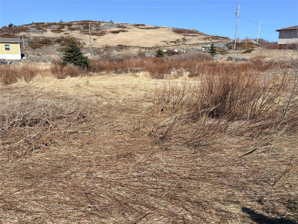 Land in Bonavista 5