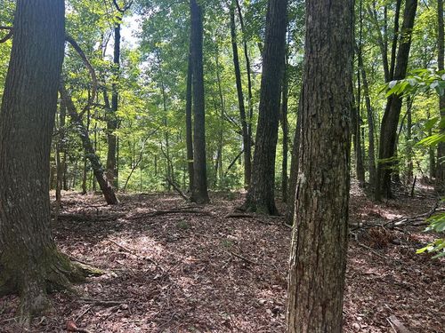 22.5 ac Highway 2, Blue Ridge, GA, 30513 | Card Image