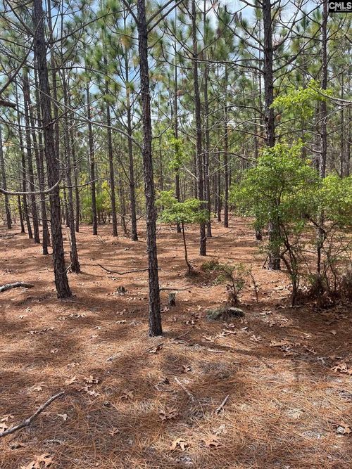 BDF 8 Beaverdam Road, Cassatt, SC, 29032 | Card Image