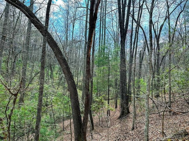 41.18 Acres (Off Of) Pole Bridge Rd, Home with 0 bedrooms, 0 bathrooms and null parking in Stuart VA | Image 34
