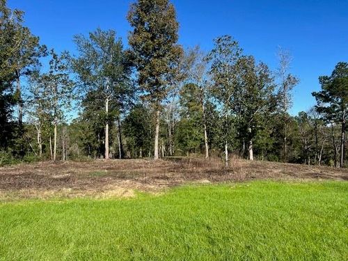 TBD LOT 26 Addison Rd, Livingston, TX, 77351 | Card Image